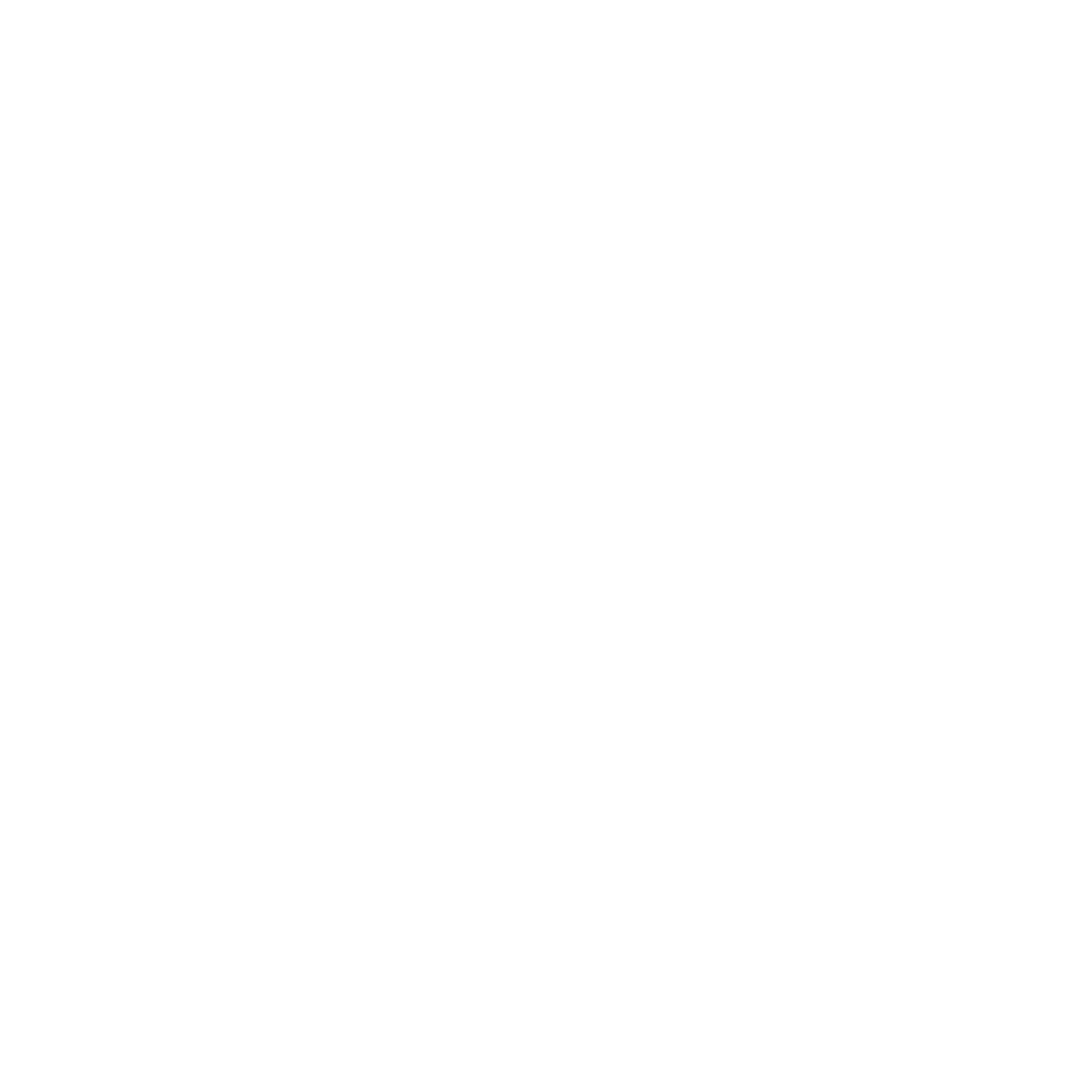 Alt Vision Logo